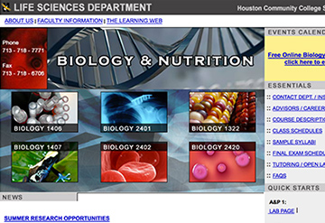 Website Examples